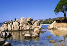 开云官网-乒乓球女子团体赛抢眼一幕，激战连连的简单介绍